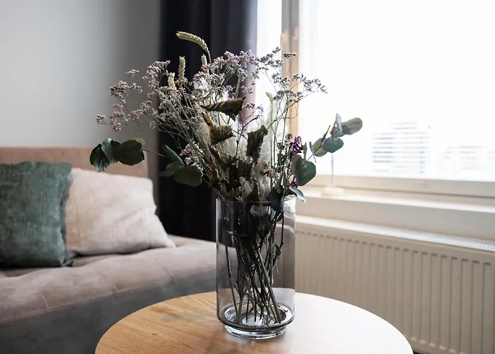 Arctic Mellow Daire Rovaniemi